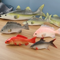 Simulation fish Marine life food model carp sturgeon perch childrens play teaching aids window decoration shooting props