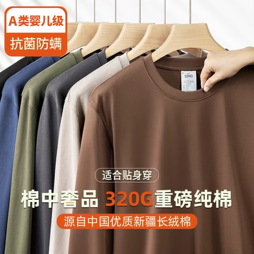 Хлопковый демисезонный цветной лонгслив, базовая рубашка, толстовка, из ворсистого хлопка, высокий воротник