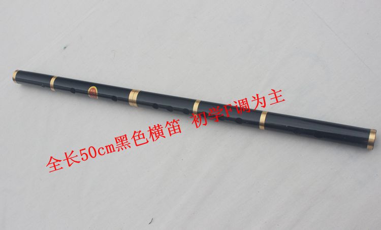 Ưu đãi đặc biệt cho sinh viên mới bắt đầu thổi sáo sân đen F người mới bắt đầu chơi sáo - Nhạc cụ dân tộc sáo mèo kép