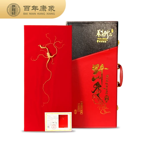 康象 Сертификат генсэра Горна Чанбай Гинзенцен