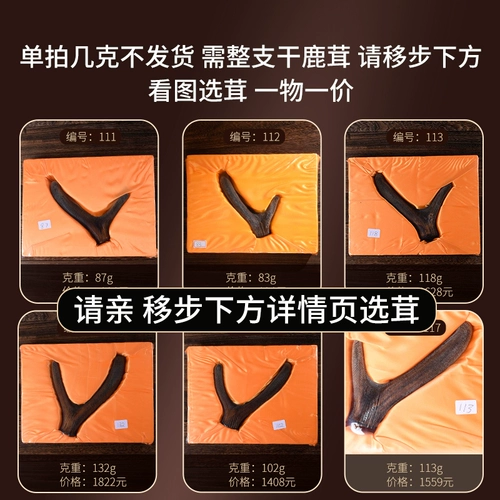 [Полные ветви рога оленя с ножами] Джилин сика