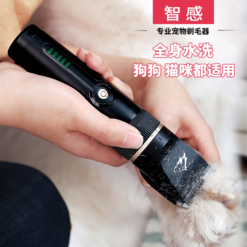 Professional Pooch Shave Pets Electric Pushy Cut Gold Hairy Large Dogs High Power Shaved Feet Wool Instrumental Kitty Dog Hair Pushers