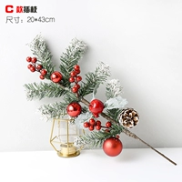 C -тип ветви