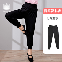 Childrens dance pants womens spring and autumn radish pants dancing pants bodybuilding gymnastics pants loose bunch feet black shape pants men