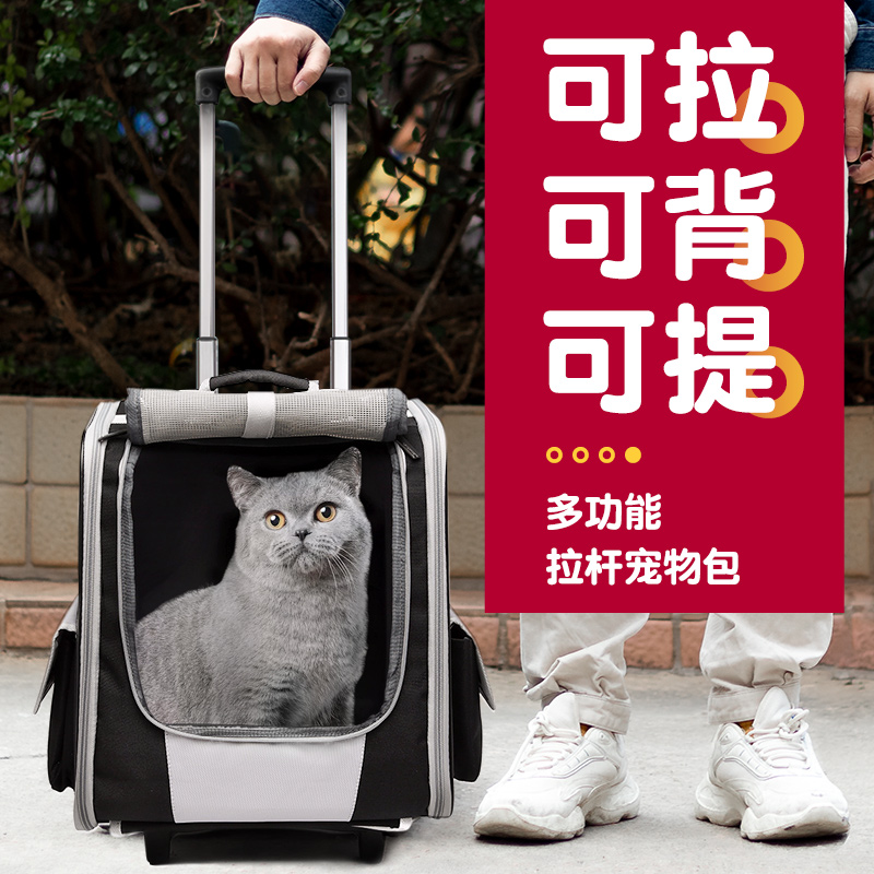 Cat bag out carry winter pet backpack trolley case oversized cat backpack large capacity two dog bags