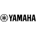 正品乐器批发的LOGO