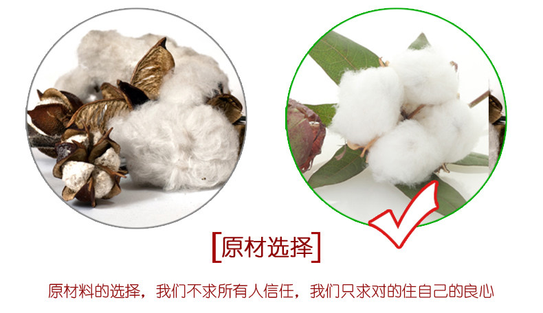 Slip jeunesse DEANFUN en coton - Ref 641050 Image 13