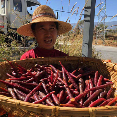 Yunnan Dali Purple Fruit Cartos, содержащая антоцианины, свежие овощи 3 джин моркови для пальцев