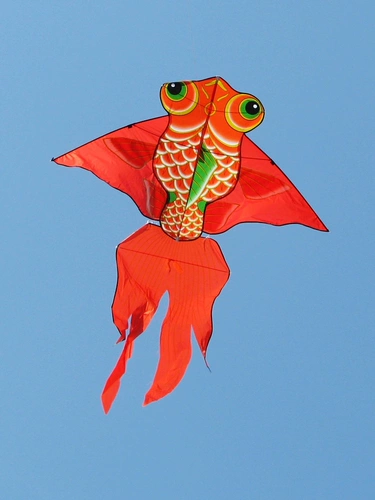 Красный воздушный змей для взрослых, карп