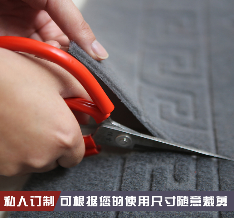 Tầng mat cửa mat cửa nhập cảnh thảm phòng ngủ foyer thảm nhà phòng tắm hấp thụ mat tùy chỉnh thảm lau chân