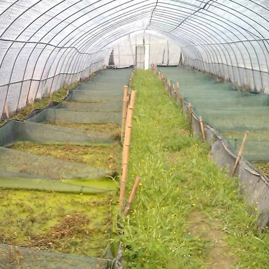 Haili Tarpaulin Black and White Checkered Tarpaulin Thickened Sunshade Cloth Rainproof Cloth Waterproof Tent Cloth Sun Protection Plastic Striped Cloth for Outdoor Use