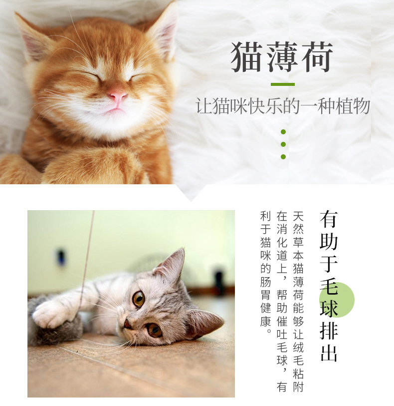 Yahe mèo bạc hà cỏ cỏ 250ml bóng tóc sạch miệng thúc đẩy tiêu hóa đồ chơi mèo cung cấp đồ ăn nhẹ cho mèo - Đồ ăn nhẹ cho mèo royal canin mèo