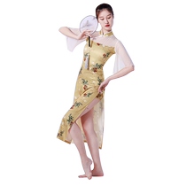 Phu and Palau Classical Dance Dance Costume Qipao Womens Net Yarn Splicing Printed China Wind Folk Dance Practice and Costume Show