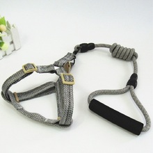 宠物狗狗猫咪牵引胸背牵引绳