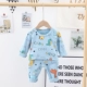 Qy-Bletters Dinosaurs Blue