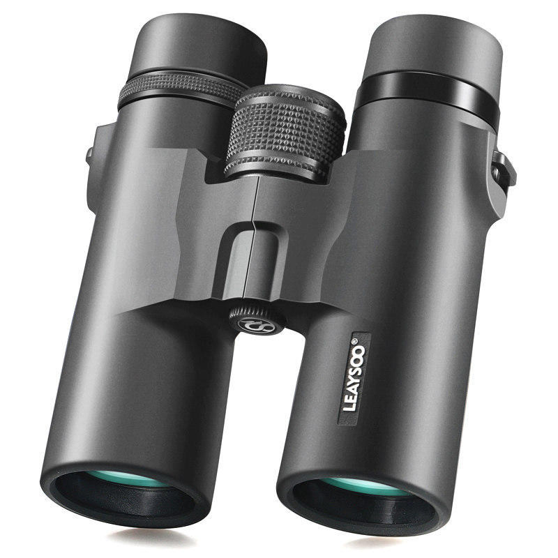 Binoculars HD High times Night Vision Non-infrared sizable monthly travel concert mobile phone photo Looking Glass