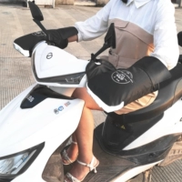 Двойной лучевой модель-модельный-рефлексия покровного покрытия [рекрутирование тигра]