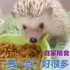Hedgehog food staple food Non-fan feed food Small thorn Meng Pet pet staple food 500g large package nutritional deodorant food
