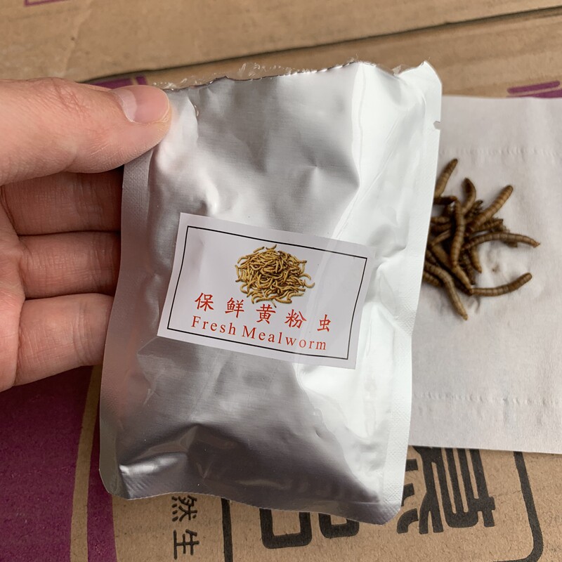 Fresh-keeping bread worms hedgehog feed honey-baglider yellow mealworm high-grade food snacks supplement nutrition high-protein freeze-dried insects