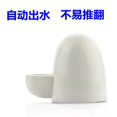 Non-fan hedgehog silent kettle Pet ceramic drinking water fountain Squirrel hamster small pet drinking water automatic water feeder
