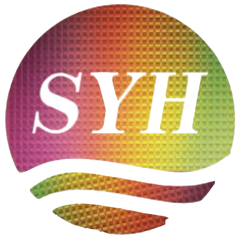 杭州颂扬恒科技的LOGO