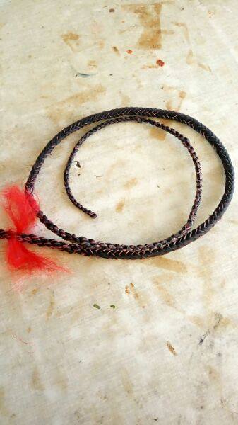 Article sports equestres - Ref 1380716 Image 9