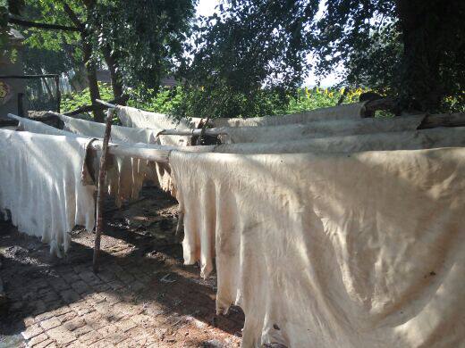 Article sports equestres - Ref 1383814 Image 13