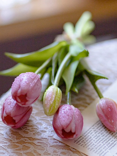 掬涵 Чувство увлажнения с высоким уровнем имитацией имитация цветочниковые тюльпан поддельный цветок