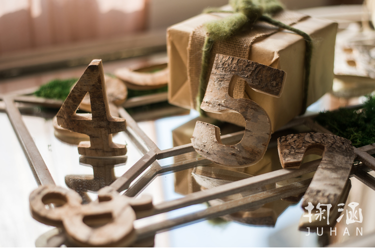 Da tự nhiên bạch dương trang trí kỹ thuật số trang trí tường đạo cụ trang trí DIY Bắc Âu ZAKKA Sen đồ trang trí dcor giá rẻ
