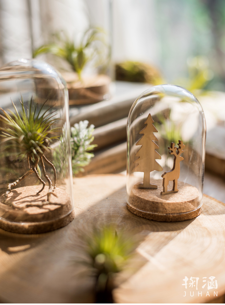 软 Nắp thủy tinh Cork Trang trí trang trí micro cảnh hoa khô mẫu búp bê búp bê chai quà tặng DIY cách trang trí phòng khách nhà vuông