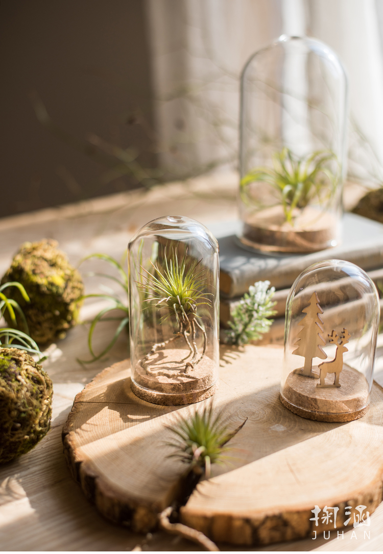 软 Nắp thủy tinh Cork Trang trí trang trí micro cảnh hoa khô mẫu búp bê búp bê chai quà tặng DIY cách trang trí phòng khách nhà vuông