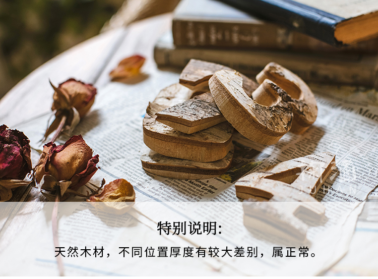 Da tự nhiên bạch dương trang trí kỹ thuật số trang trí tường đạo cụ trang trí DIY Bắc Âu ZAKKA Sen đồ trang trí dcor giá rẻ