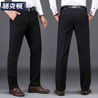 510 [Новая осень]