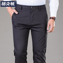 Spring and autumn mens casual pants loose straight elastic elastic waist suit pants business youth slim long pants men