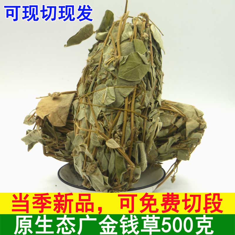 Guangxi Natural Fresh Large Leaf Gold Money Grass Wild Bubble Water Wide Gold Money Grass When Season New Goods Dry Chinese Herbal Medicine 500g