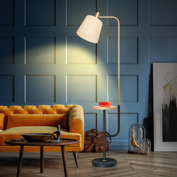 Nordic ins floor lamp living room sofa bedroom bedside net red coffee table floor lamp fabric vertical table lamp