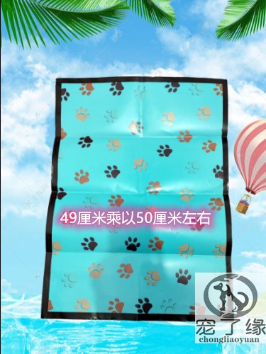 Pets funeral funerary small dog kitty's deceased head 37 buried tributes to honor the yellow paper burning tributes for the martyrdom of the cold mat