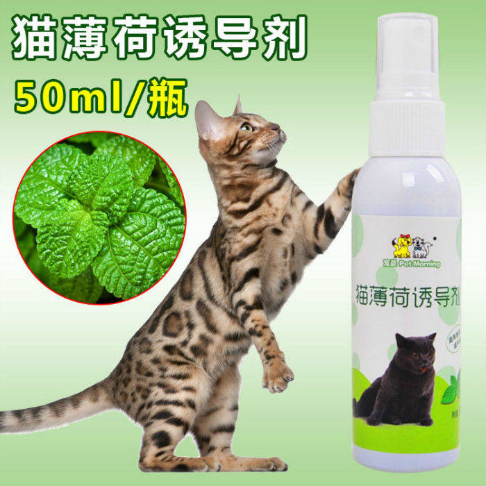 Cat mint taste spray 50ml teasing cat themetics improves kitty excitement to attract cat toy cat grabbing plate inducers