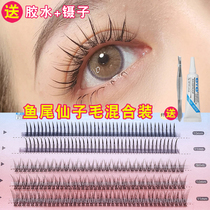 Fish tail fairy hair mixed with a type a single cluster false eyelashes segmented self-grafted hair fairy hair natural paste