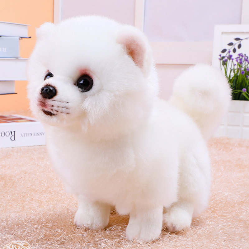 仿真博美犬公仔抱抱旺小白狗布娃娃可爱狗狗小狗毛绒玩具儿童礼物