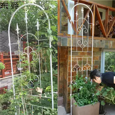 European-style iron flower frame screen plant climbing vine clematis balcony rose flower stand outdoor flower wall grid