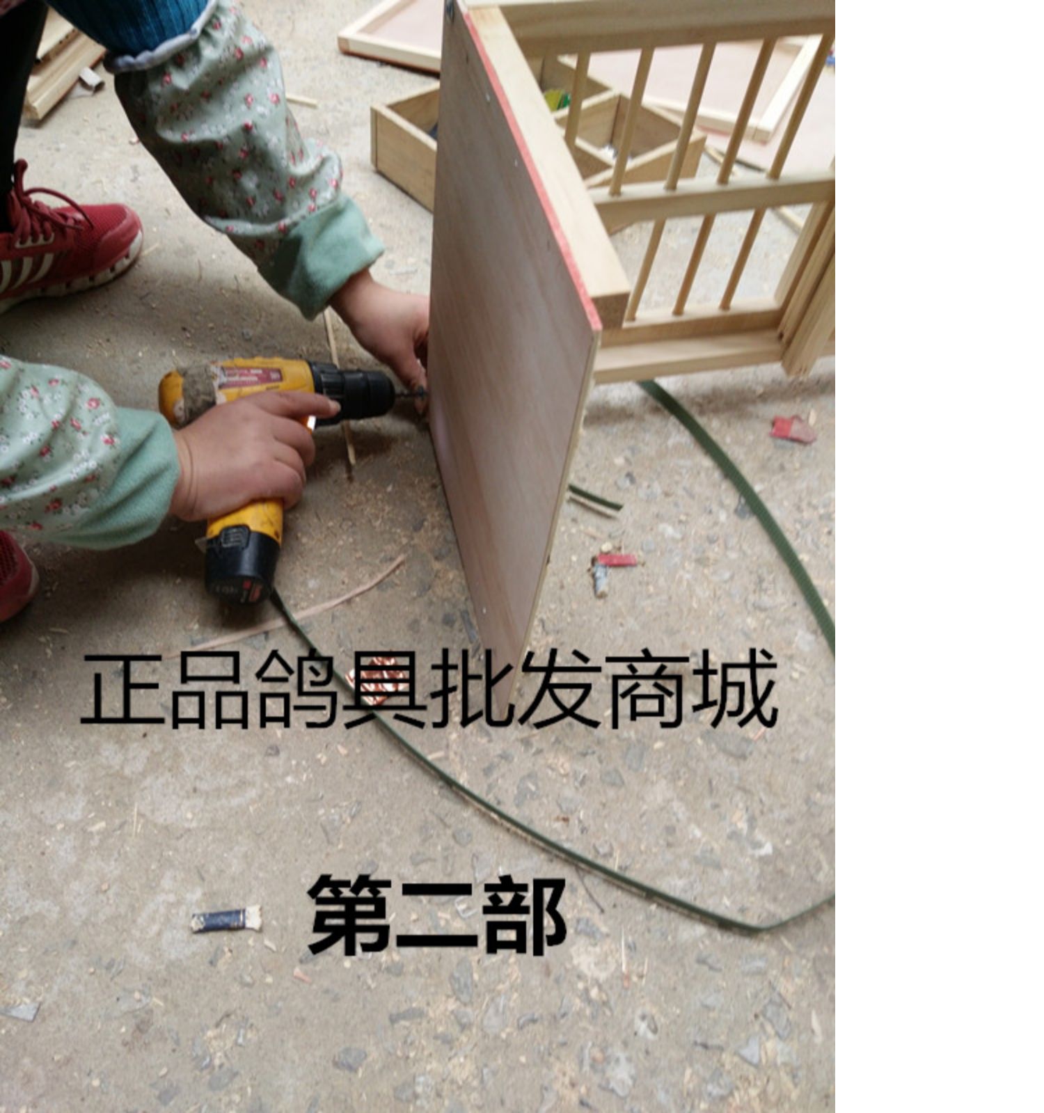 Chim bồ câu Bồ câu cung cấp Hộp làm tổ Thiết bị chim bồ câu phù hợp với chuồng Cửa trượt Bài đăng miễn phí Đua chim bồ câu - Chim & Chăm sóc chim Supplies thức ăn chim trĩ