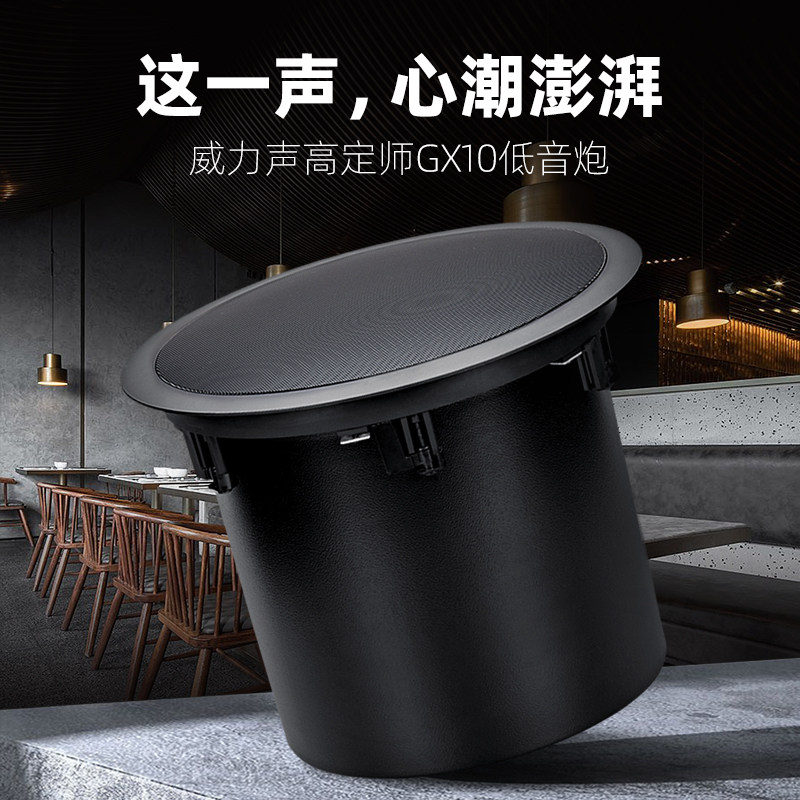 VILLIS power sound super heavy subwoofer small bar club gym shop ceiling ceiling ceiling speaker