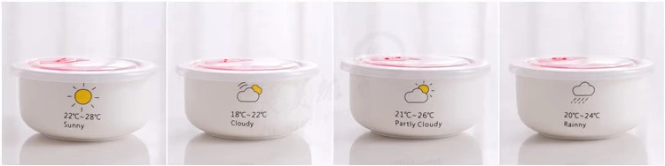 Sáng tạo bát cơm Bắc Âu bát ăn tại nhà bát 5 inch tươi có nắp hộp ăn trưa học sinh bát salad bát lò vi sóng - Hộp cơm điện sưởi ấm