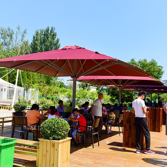 Purple Leaf Outdoor Umbrella Outdoor Patio Umbrellas Rome Umbrella Umbrellas Large Parking Terrace Scenic Beach Umbrella