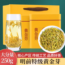 Pre-Ming golden sprouts 2024 New tea Zhengzong Rare Yellow Tea Alpine Lanflower Fragrant Tea Gift Box 250g