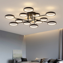 Minimalist modern Nordic suction light Living room Light Fashion light extravagant atmosphere Home Creative personality Bedroom Restaurant Lamp