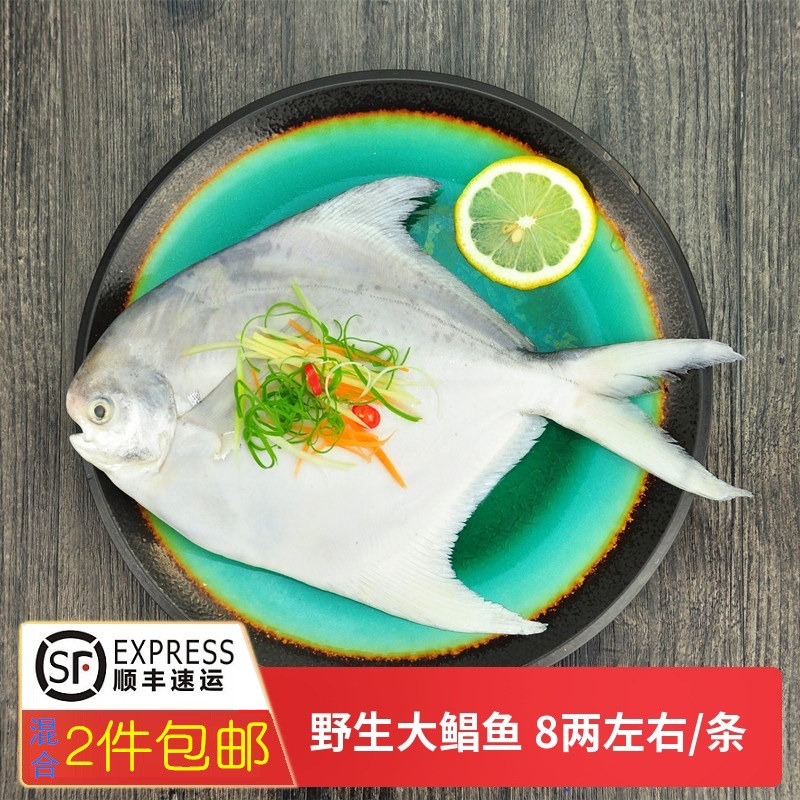 Zhoushan boat freezes the large scaly grandma of the east sea ash pine frozen large flat fish about 400g nonfarmed