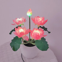 Lotus Lamp LED Lotus Lamp lamp Buddha lamp long Ming lamp Home Residence Decoration Plug-in Electric ceramic Little Night Lights Seven Fragrant Lights