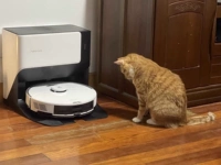 G10 Gift Pack [корабль примерно на неделю]